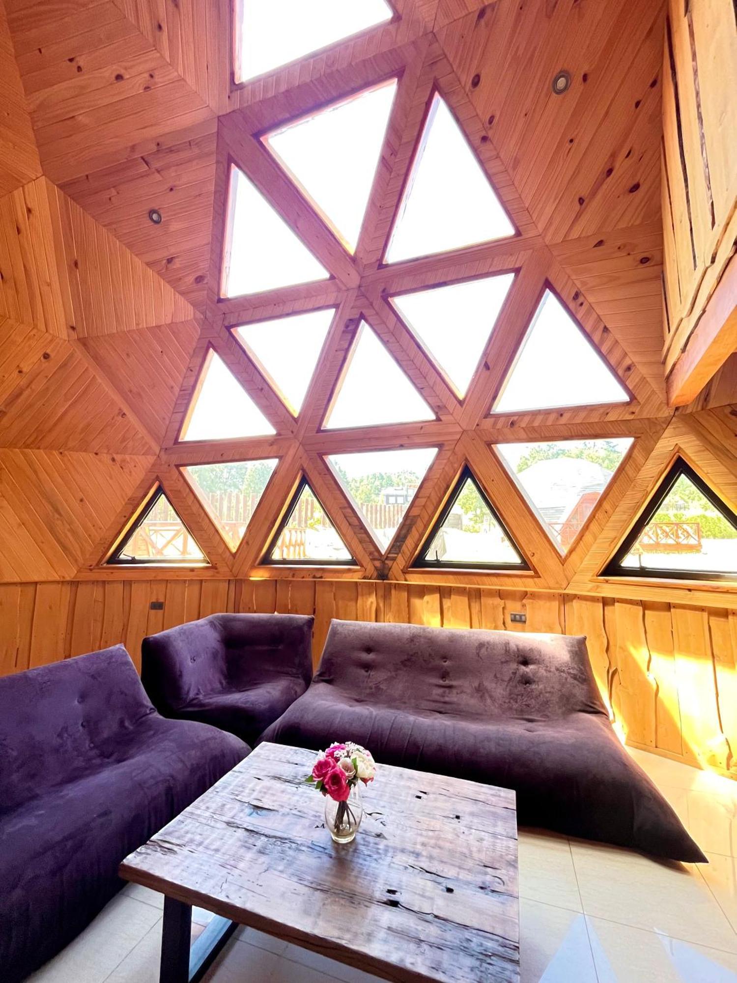 Domos Elohim Villa Pucón Екстериор снимка